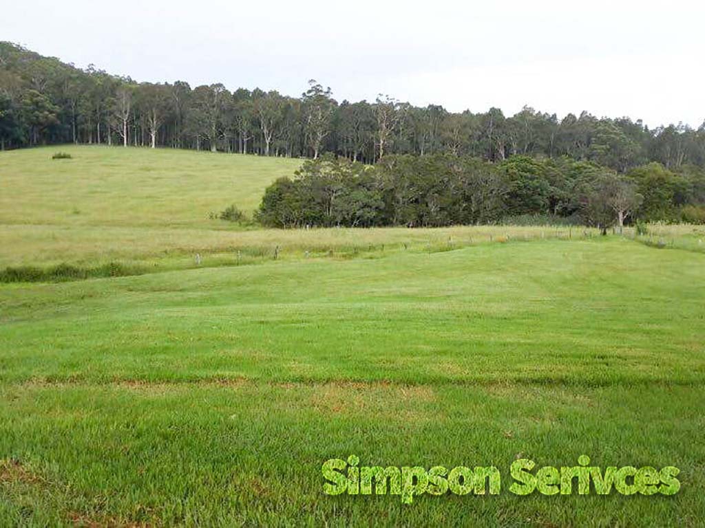 Paddock Slashing in Shoalhaven