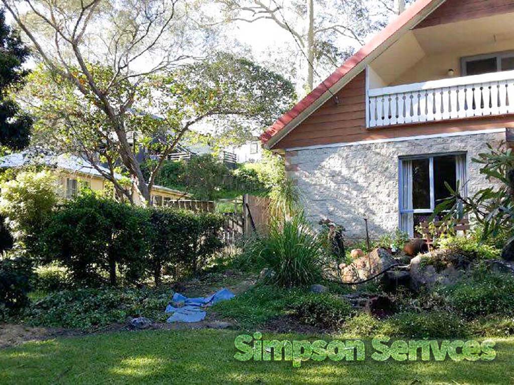 Palm Tree Removal Shoalhaven Heads