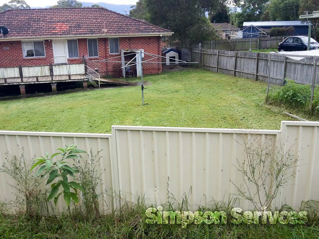 Lawn Mowing Nowra