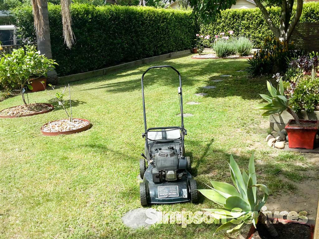 Lawn Mowing Worrigee